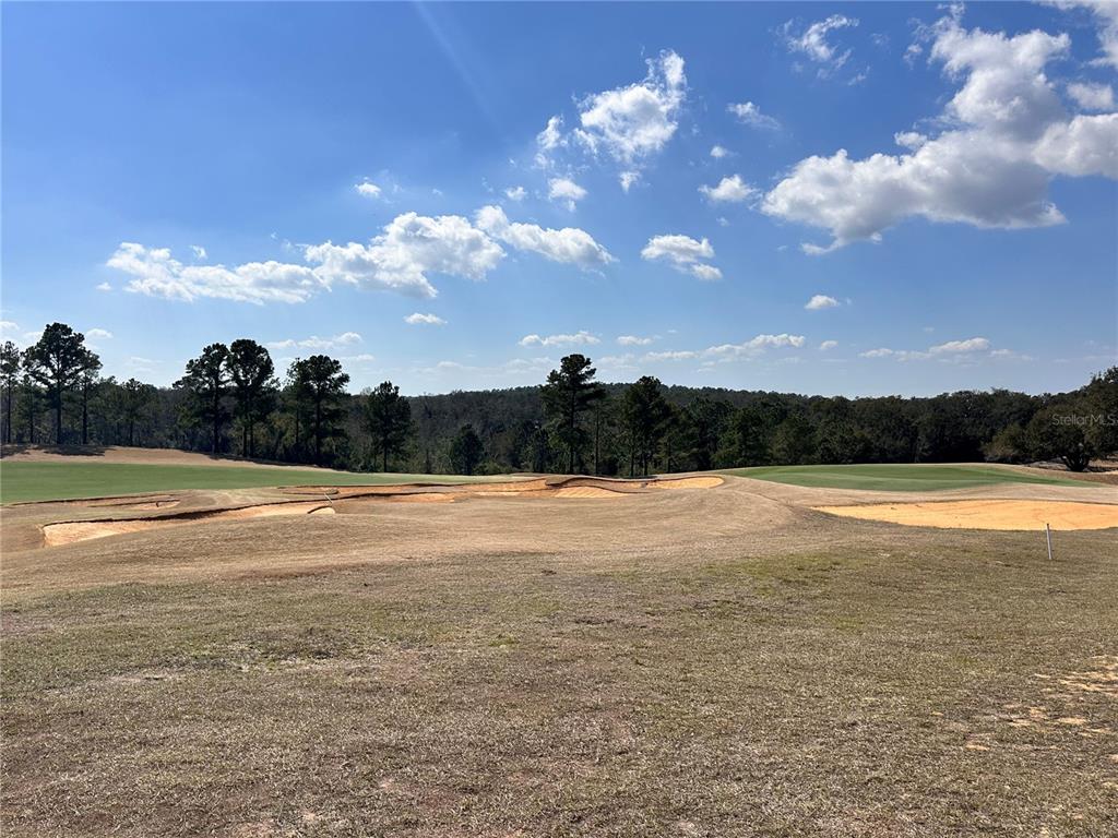 A view of a golf course fairway with sand bunkers and a treeline in distance — 16222 VETTA DRIVE, BELLA COLLINA, FL