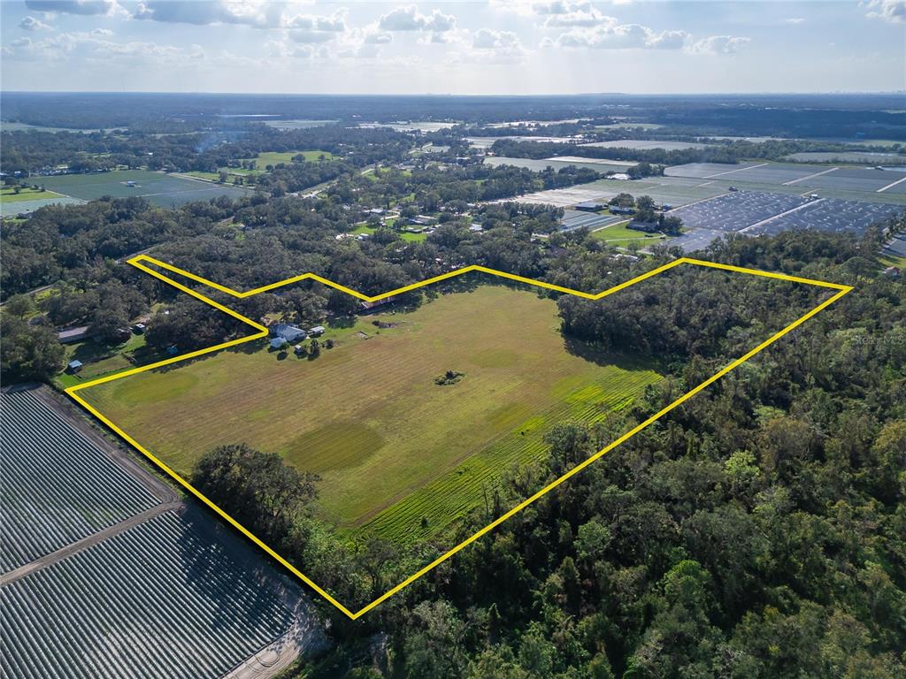 An aerial view shows a large, open grassy field outlined in yellow, bordered by trees — 5020 SYDNEY ROAD, PLANT CITY, FL