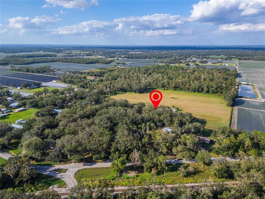 An aerial view shows a wooded property with a house marked by a red pin — 5020 SYDNEY ROAD, PLANT CITY, FL