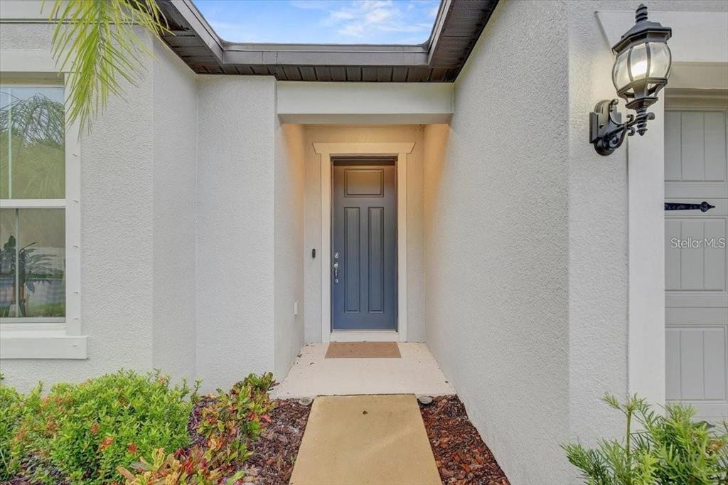 A front entryway features a blue door, a light fixture, and a concrete walkway — 2824 QUAIL CREST COURT, VALRICO, FL