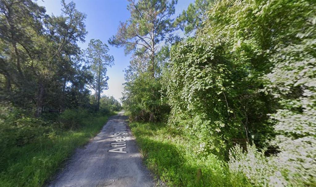 A dirt road stretches through a dense, wooded area with tall trees and thick vegetation — ATLEE STREET, NEW PORT RICHEY, FL