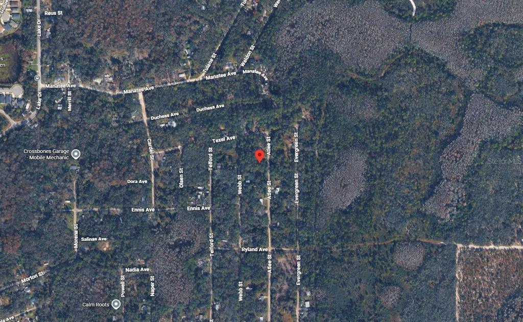 This is an aerial map view showing a wooded area with residential streets and a pin — ATLEE STREET, NEW PORT RICHEY, FL