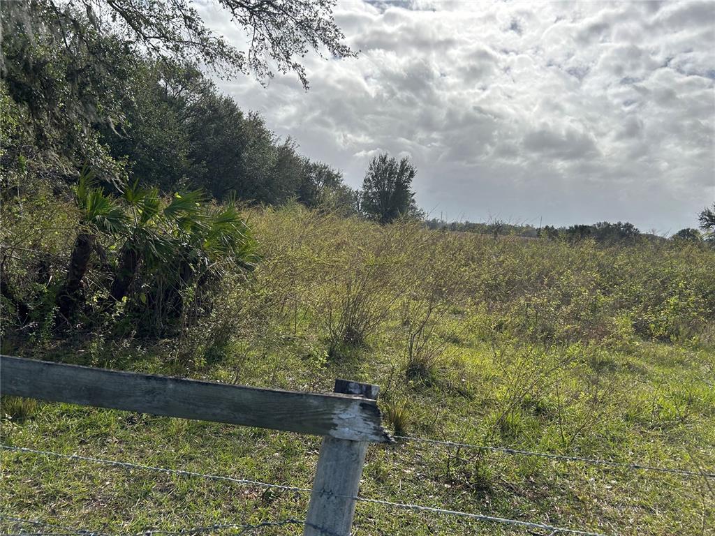 SR-64, ZOLFO SPRINGS, FL — photo 4 of 14