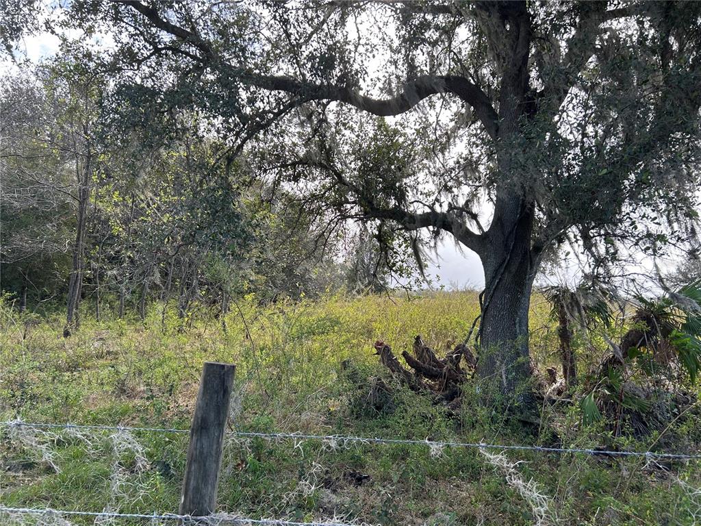 SR-64, ZOLFO SPRINGS, FL — photo 5 of 14
