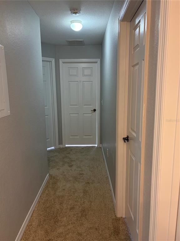 A carpeted hallway features light gray walls, white doors, and a ceiling-mounted light fixture — 2610 LODI CIRCLE UNIT 102, KISSIMMEE, FL