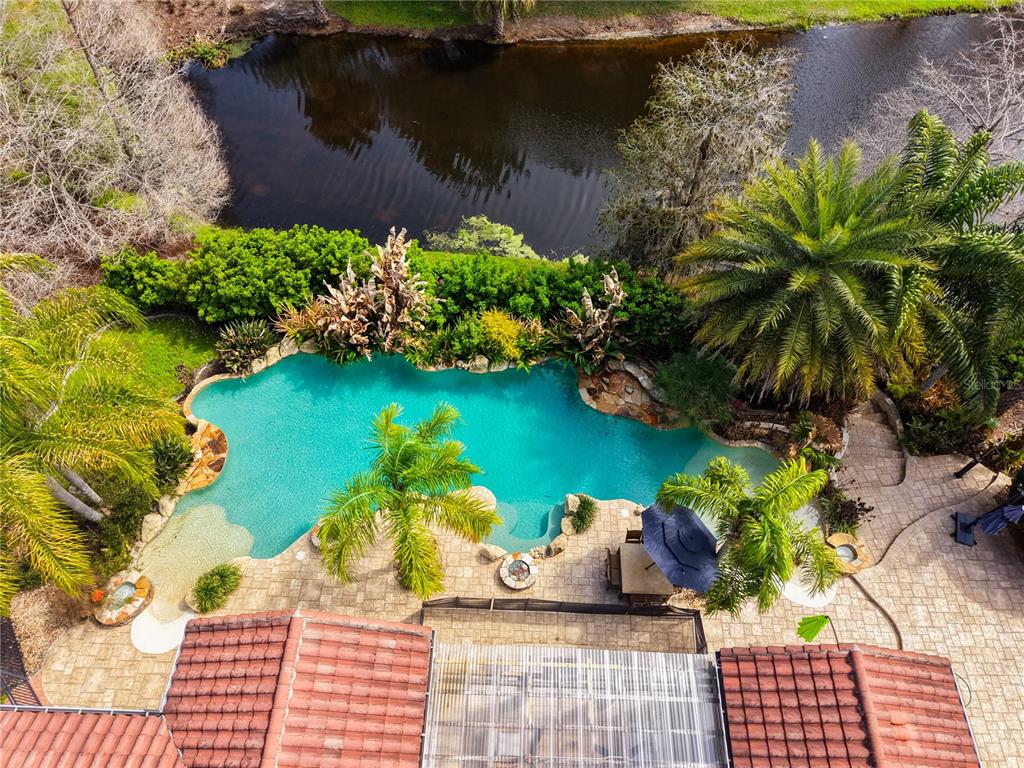 An aerial view shows a swimming pool with a patio, palm trees, and a pond — 719 EASTLAWN DRIVE, KISSIMMEE, FL