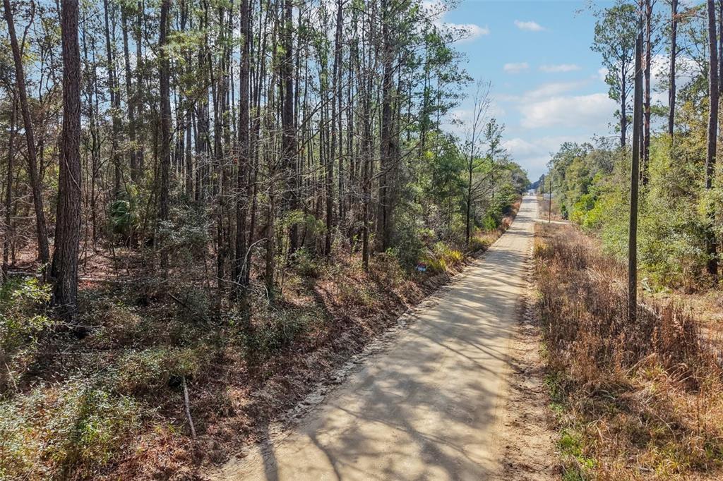 A dirt road runs through a wooded area with tall pine trees on both sides — 0 SW 150 COURT, OCALA, FL