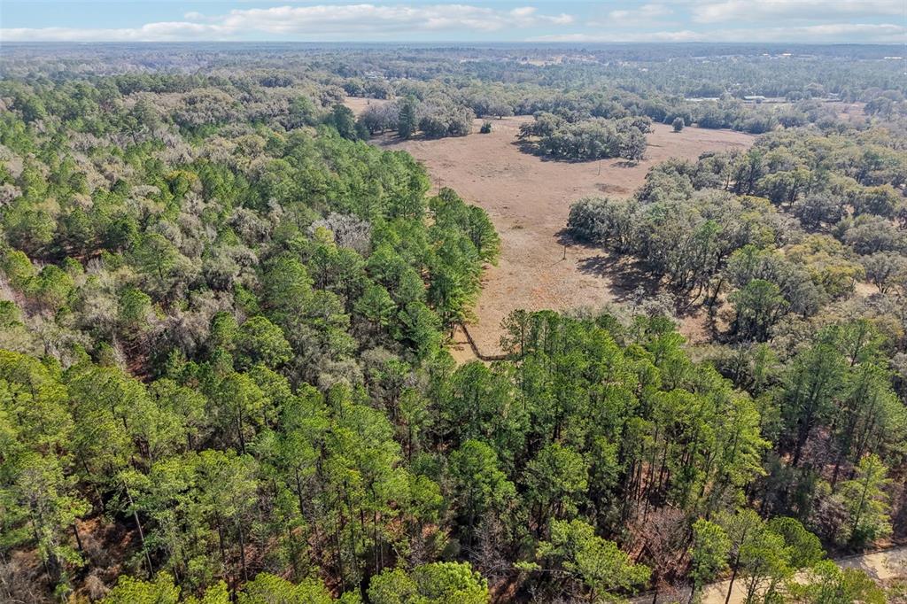 An aerial view shows a large, open grassy field surrounded by dense pine and oak forests — 0 SW 150 COURT, OCALA, FL