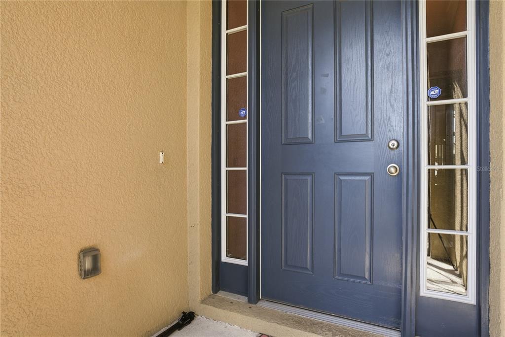 A blue front door with side windows and an ADT security sticker on a porch — 10420 PLEASANT SPRING WAY, RIVERVIEW, FL