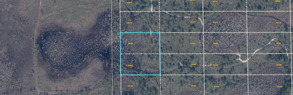 An aerial map view shows two adjacent rectangular land parcels outlined in light blue — 407 DILL ROAD, ORLANDO, FL