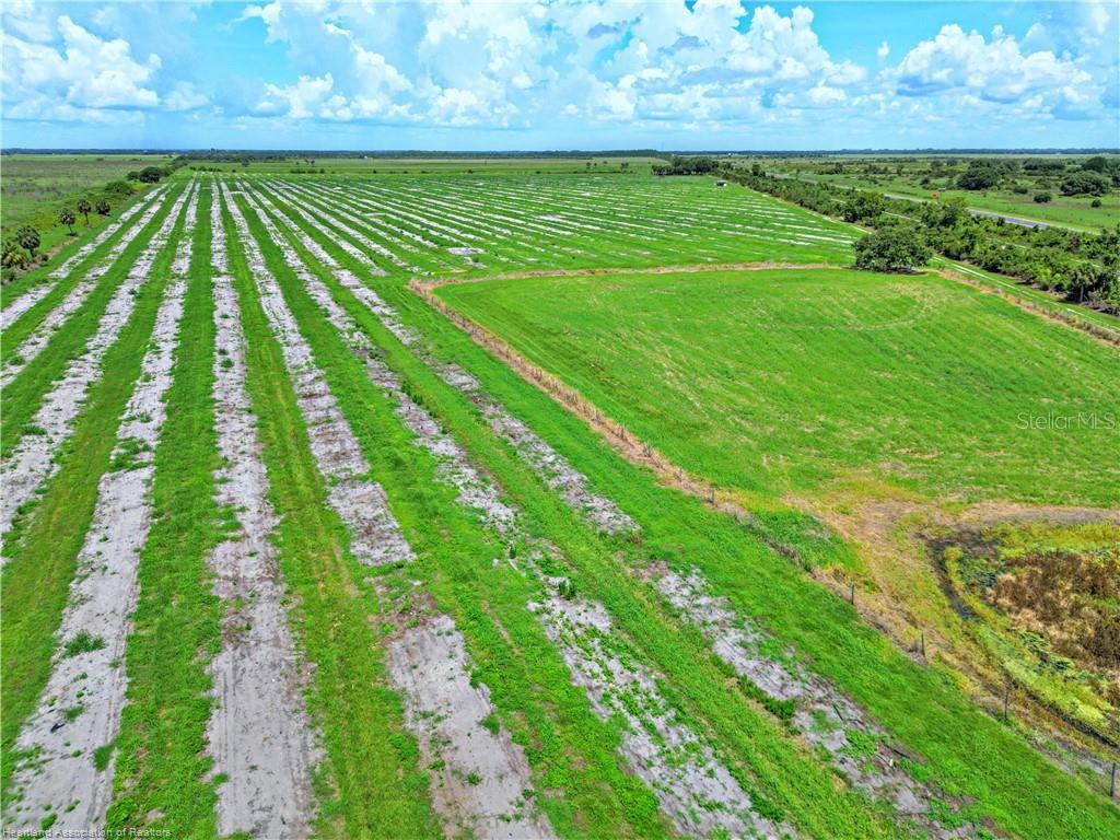 8495 COUNTY ROAD 621, LORIDA, FL — photo 3 of 23