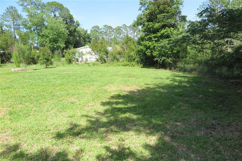 A grassy, open lot is surrounded by trees and dense vegetation under a clear sky — 108 PINESHORE DRIVE, SATSUMA, FL