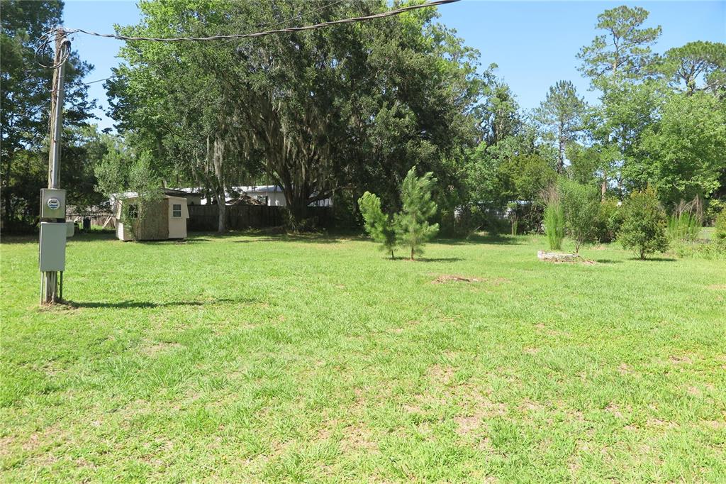 A grassy lot features a small shed, a utility pole, and mature trees in the background — 108 PINESHORE DRIVE, SATSUMA, FL