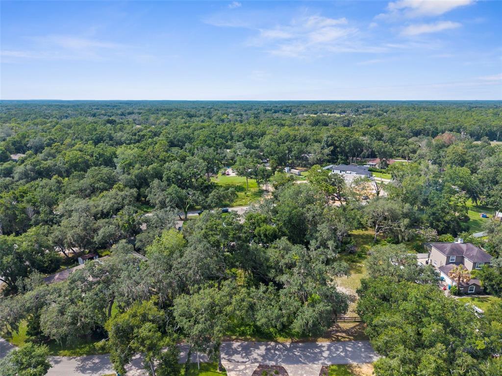 An aerial view shows a residential area with dense trees, a road, and several houses — 0 SHOREWOOD DRIVE, DADE CITY, FL