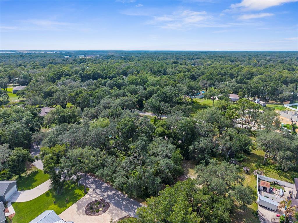 An aerial view shows a residential neighborhood surrounded by dense trees and green space — 0 SHOREWOOD DRIVE, DADE CITY, FL