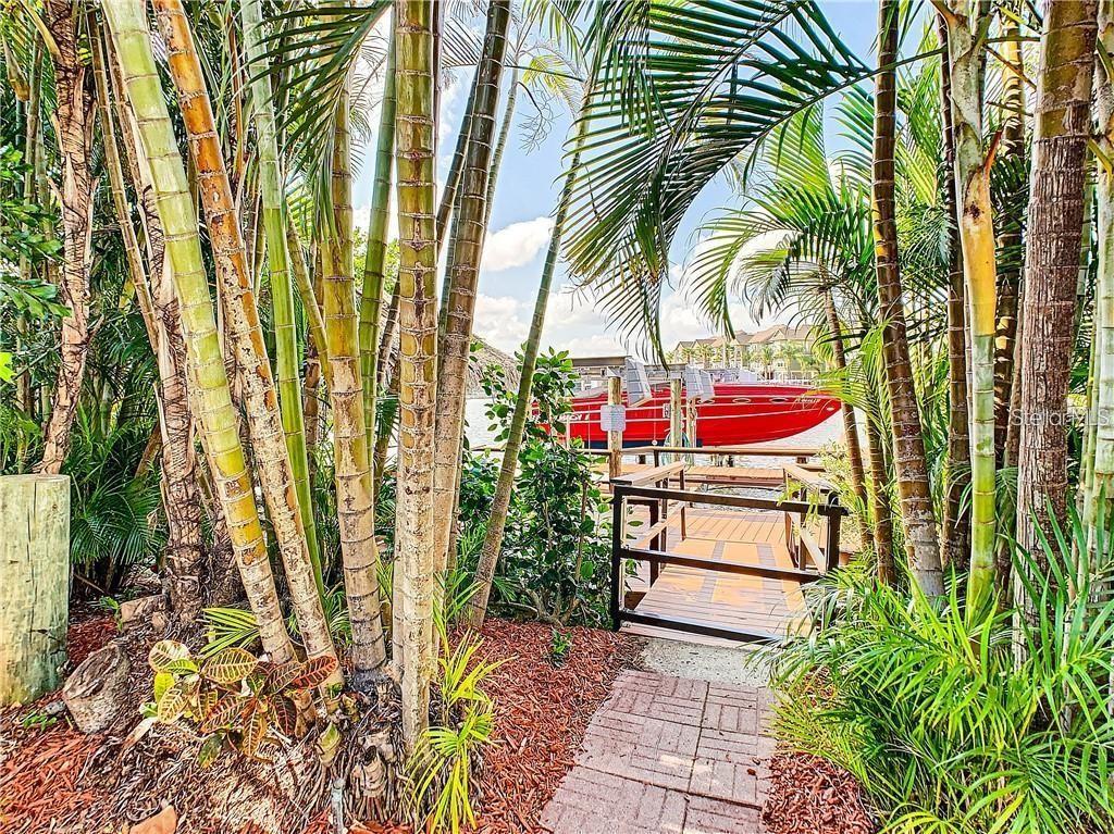 A brick path leads through palm trees to a wooden dock with a red boat — 8720 COVE COURT, TAMPA, FL