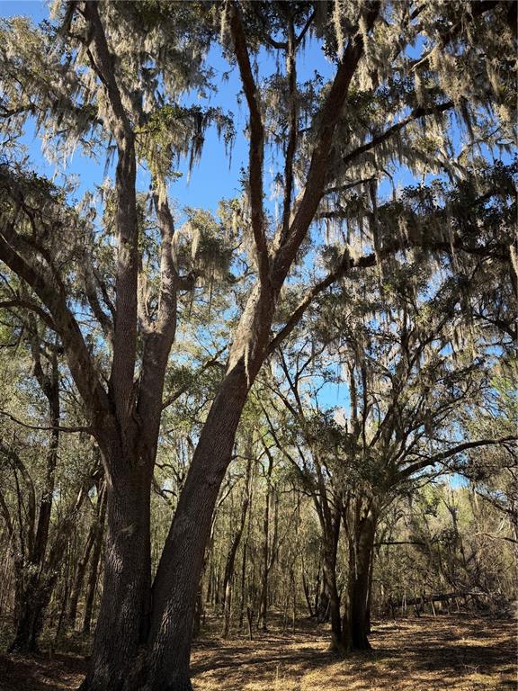 10550 NW 115TH AVENUE, REDDICK, FL — photo 3 of 17