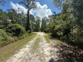 A dirt path leads through a wooded area under a bright blue sky — 337 Palm Way, FL 32139, FL