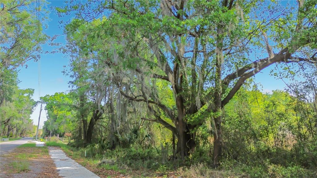 COUNTY ROAD 213, WILDWOOD, FL — photo 4 of 28