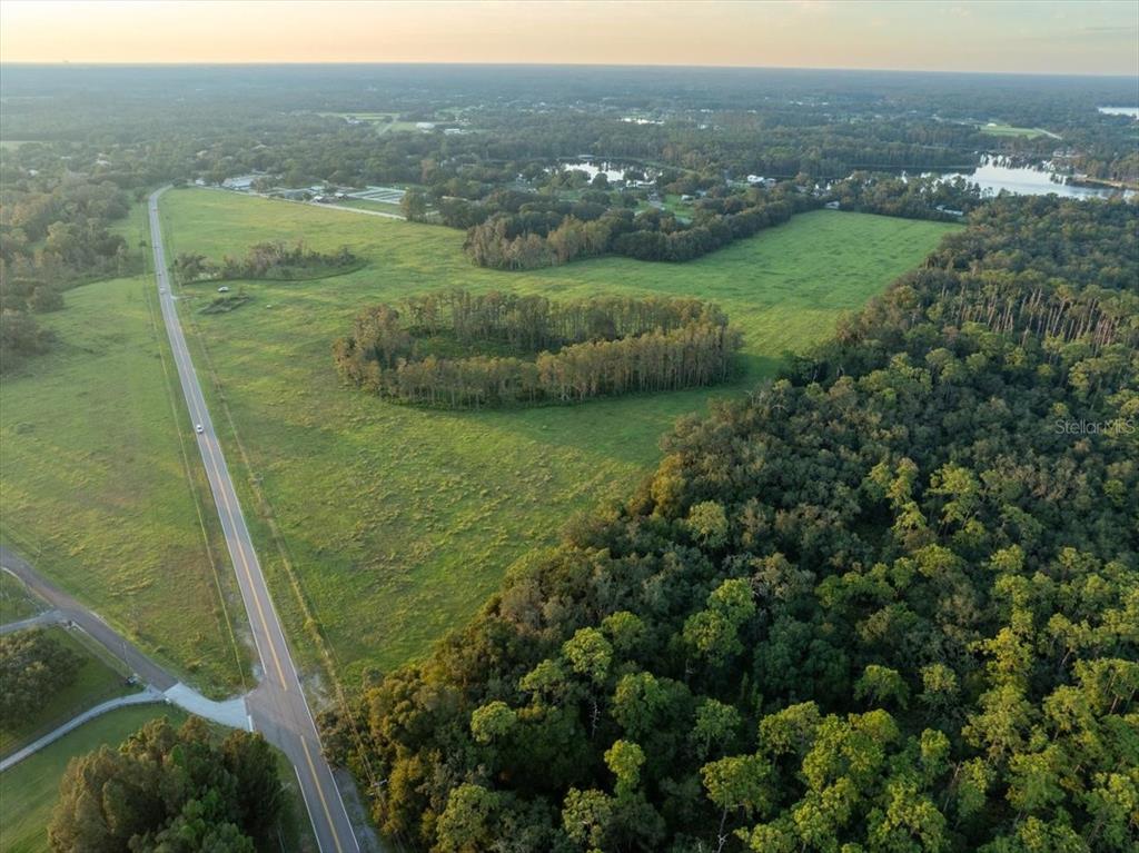An aerial view shows a rural road bordering a large, grassy field with wooded areas — 16405 BOY SCOUT ROAD, ODESSA, FL