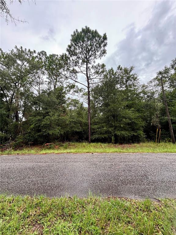 Lot 28 SW 206 CIRCLE