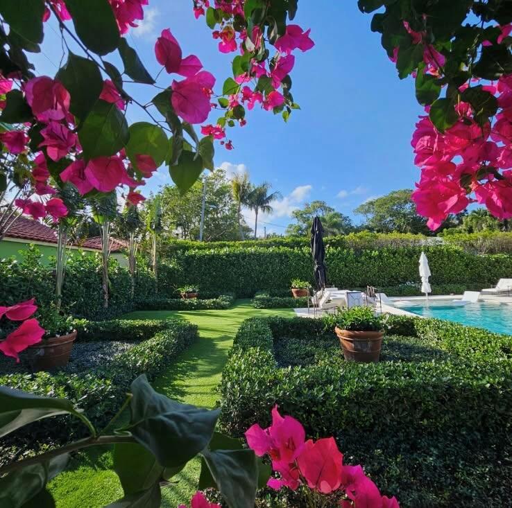 A backyard features a swimming pool, manicured hedges, and vibrant pink bougainvillea under a blue sky — 300 Buckingham Road, West Palm Beach FL 33405, WEST PALM BEACH, FL