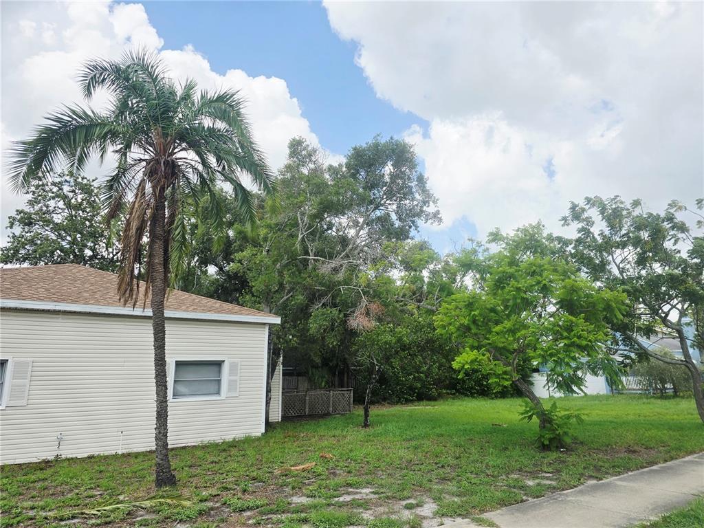 A side view of a house with beige siding, a palm tree, and a grassy yard — 205 N MISSOURI AVENUE, CLEARWATER, FL