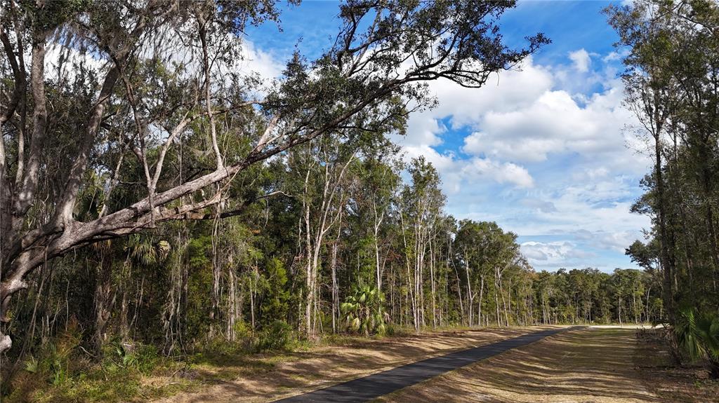 A paved path runs through a wooded area with tall trees under a cloudy sky — Irvine Acres #3 (10ac) W HWY 318, REDDICK, FL