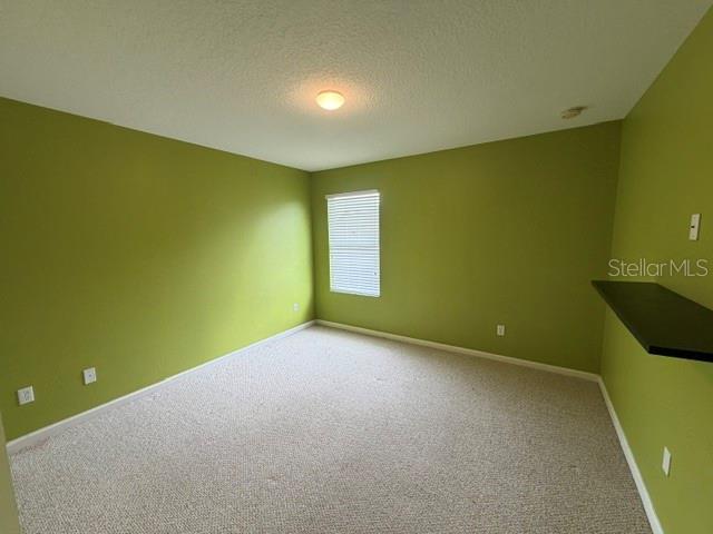 An empty bedroom features green walls, beige carpeting, a single window, and a wall-mounted shelf — 9118 SABAL PINE WAY, ORLANDO, FL