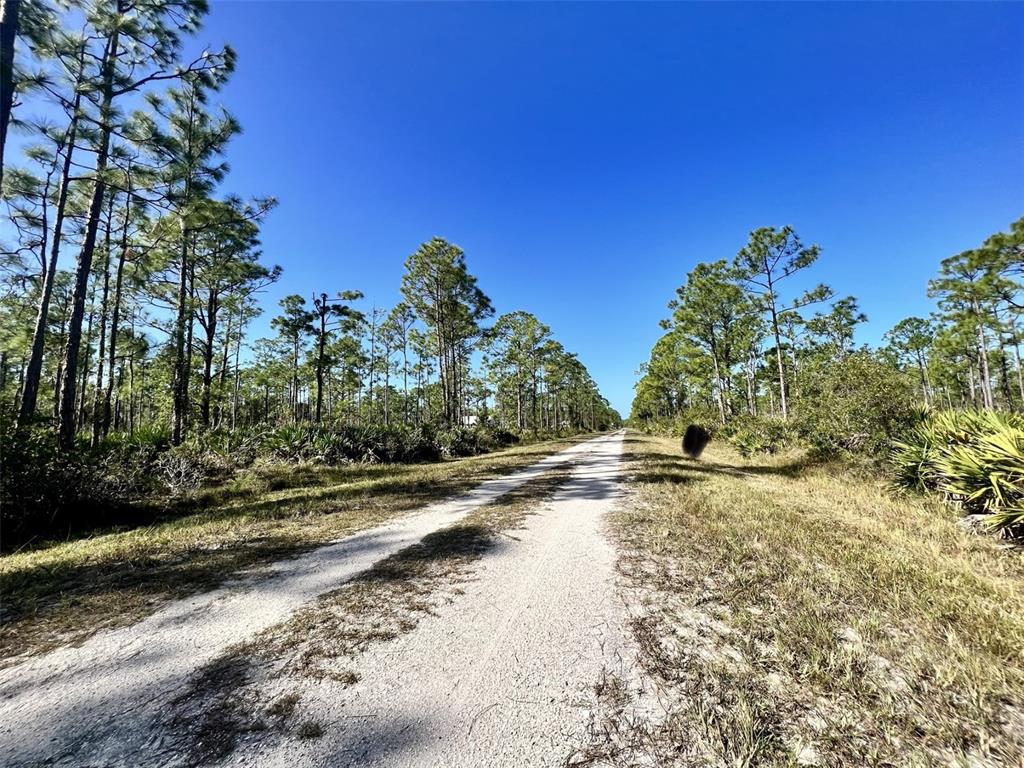 28060 ARGYLE DRIVE, PUNTA GORDA, FL — photo 3 of 5
