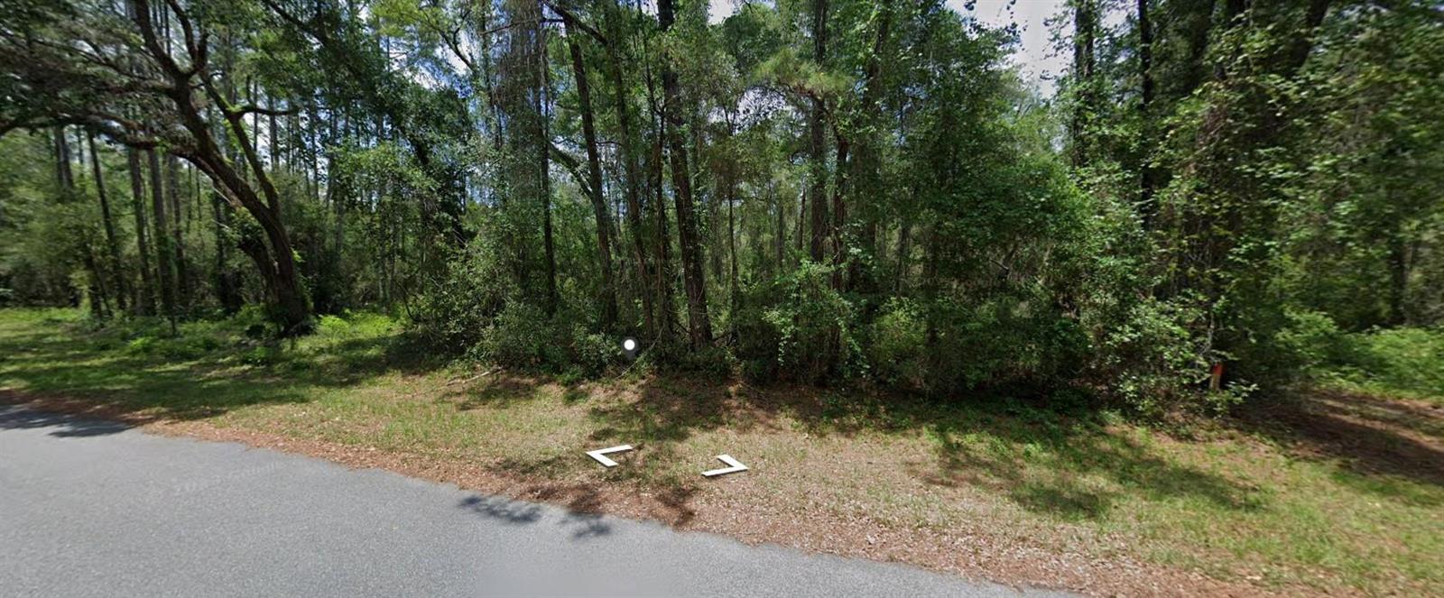 910 E Abend Drive, FL 34434
