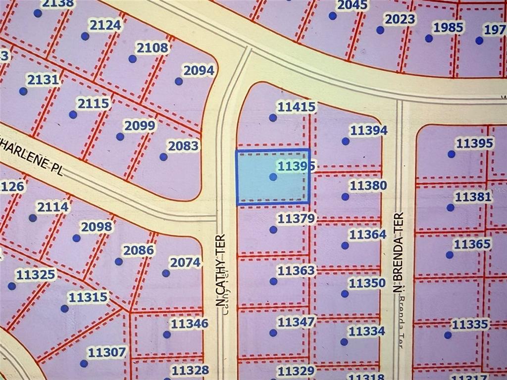 This is a plat map showing property lot lines and addresses in a residential neighborhood — 11395 N CATHY TERRACE, CITRUS SPRINGS, FL
