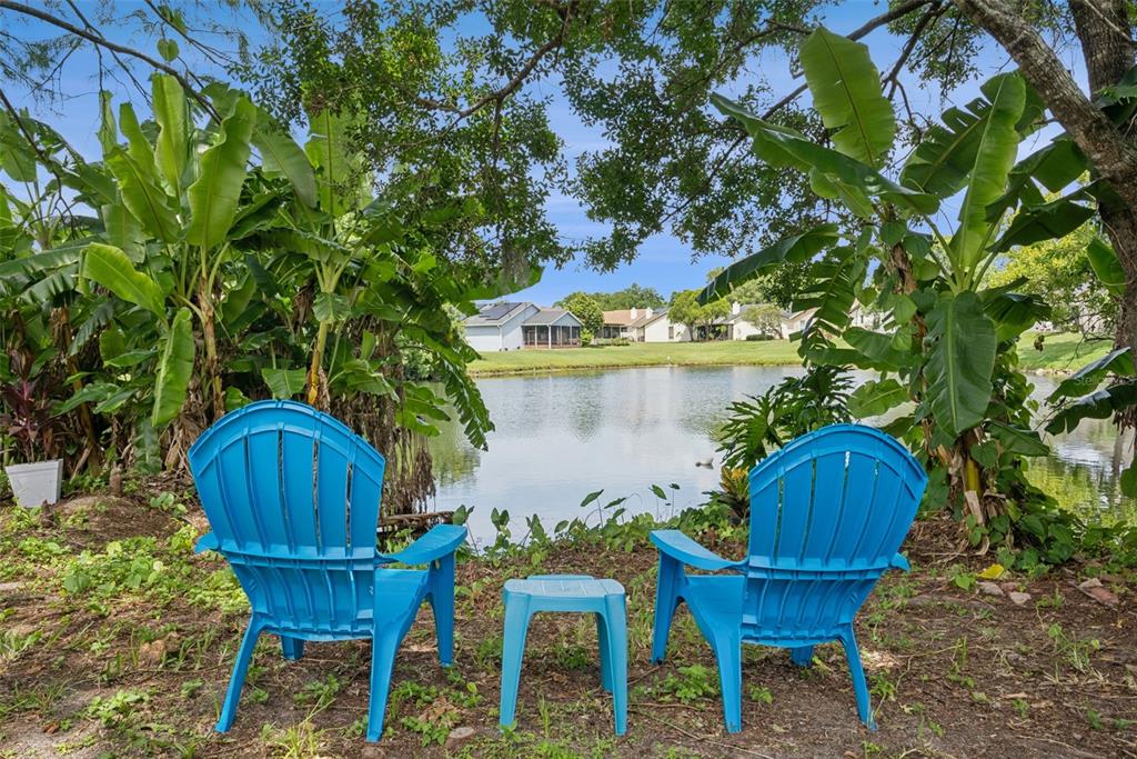 Two blue Adirondack chairs and a small table sit by a pond under banana trees — 717 ADIDAS ROAD, WINTER SPRINGS, FL