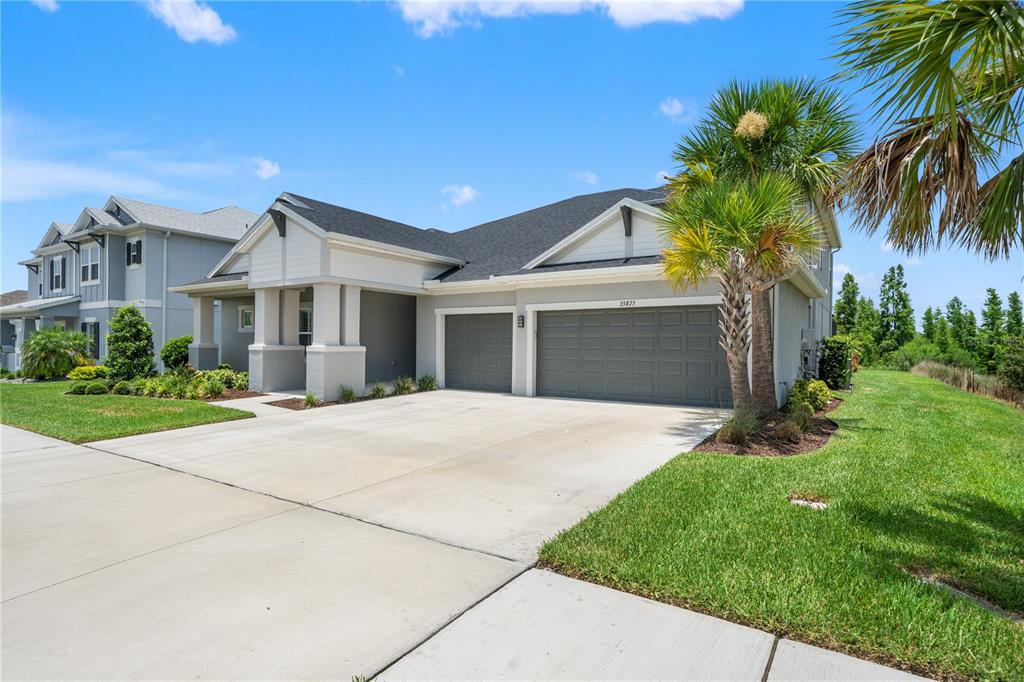 A single-story house with a gray exterior, a three-car garage, and a palm tree — 33875 CASTAWAY LOOP, WESLEY CHAPEL, FL