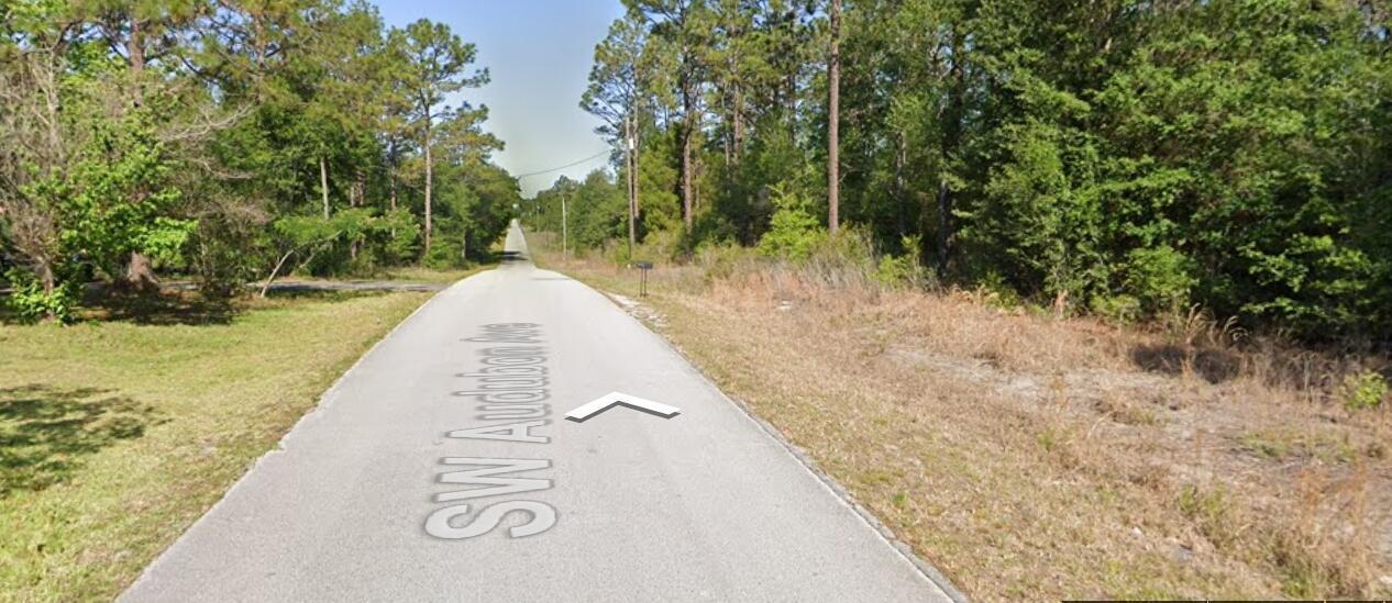 A paved road stretches through a wooded area with trees lining both sides — 20313 SW Audubon Avenue, FL 34431, FL
