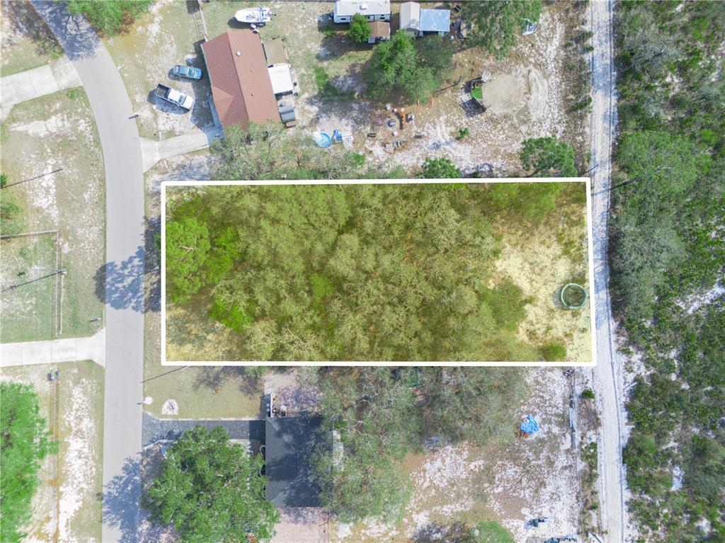 An aerial view shows a rectangular, wooded vacant lot bordered by residential properties and roads — LEMON DRIVE, LAKE WALES, FL
