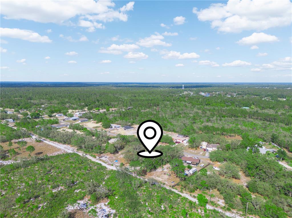 An aerial view shows a wooded residential area with a location pin marker — LEMON DRIVE, LAKE WALES, FL