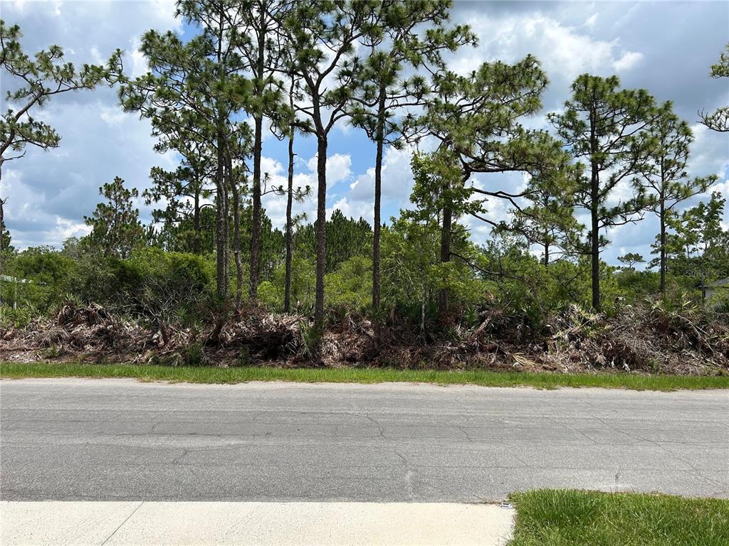A view of a vacant, wooded lot across a paved residential street — OSBORNE STREET, ORLANDO, FL