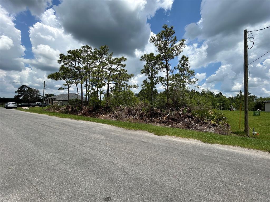 A vacant, partially wooded residential lot sits along a paved road under a cloudy sky — OSBORNE STREET, ORLANDO, FL