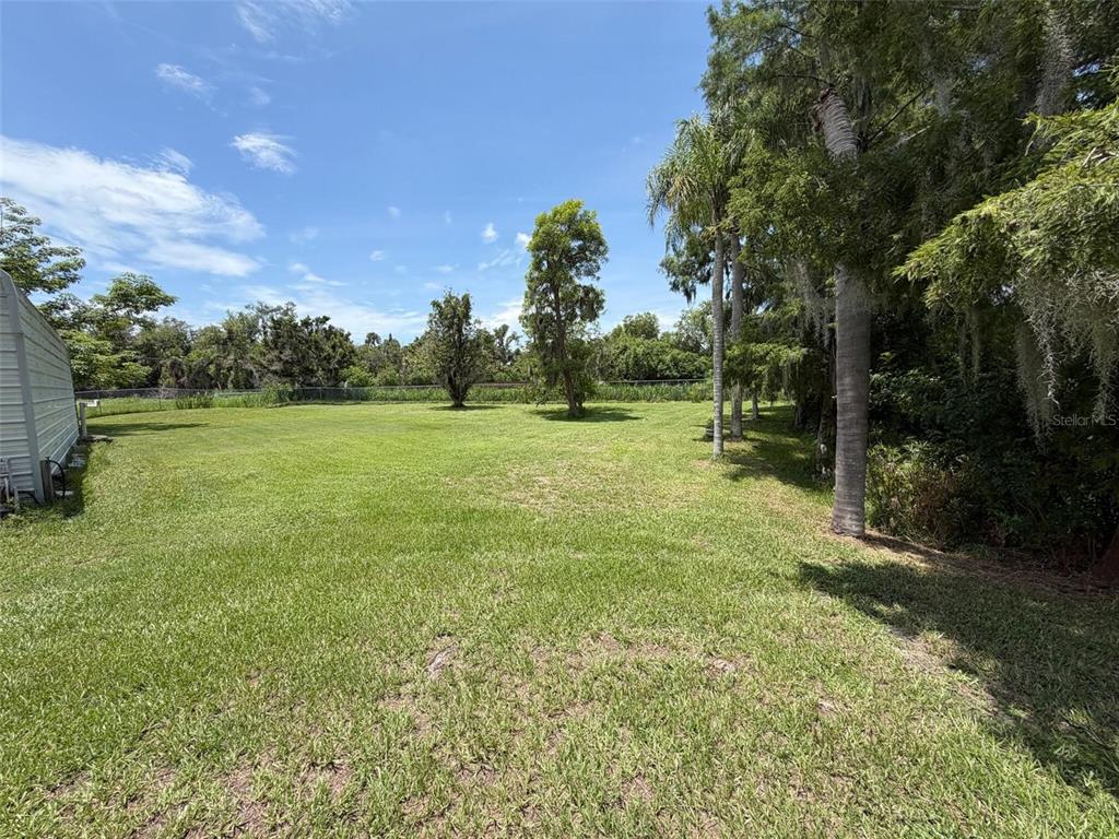 A grassy backyard features a chain-link fence, several trees, and a portion of a building — 3707 36TH STREET E, BRADENTON, FL