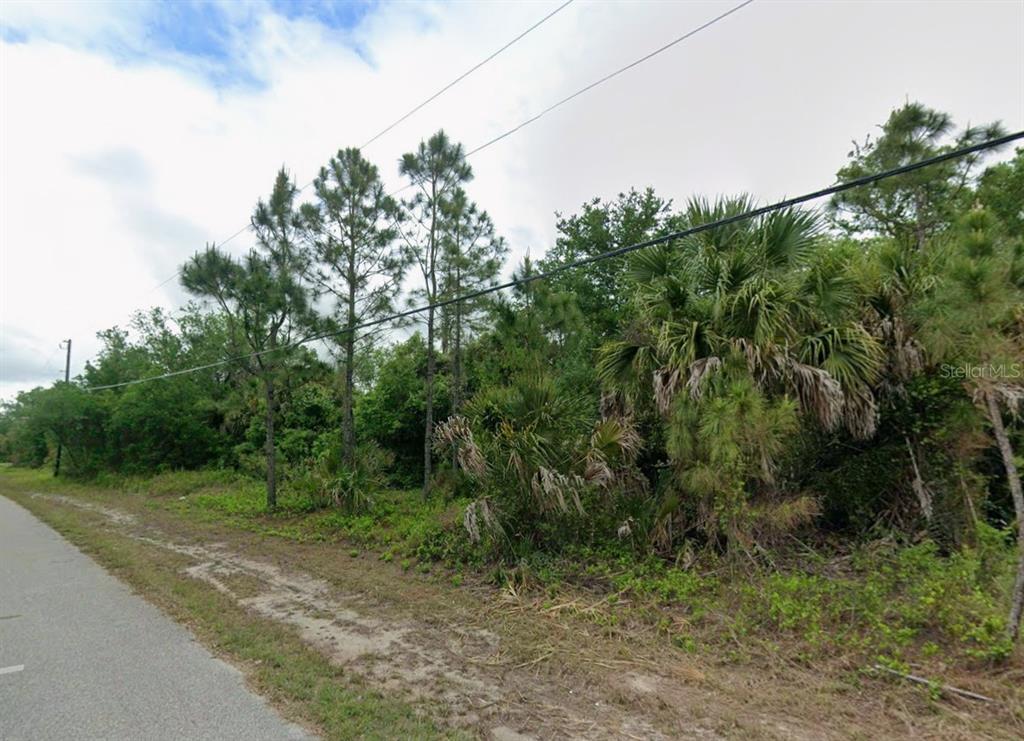 A paved road runs alongside a wooded lot with tall pine trees and palmettos — Lot 13 SERNICE STREET, NORTH PORT, FL