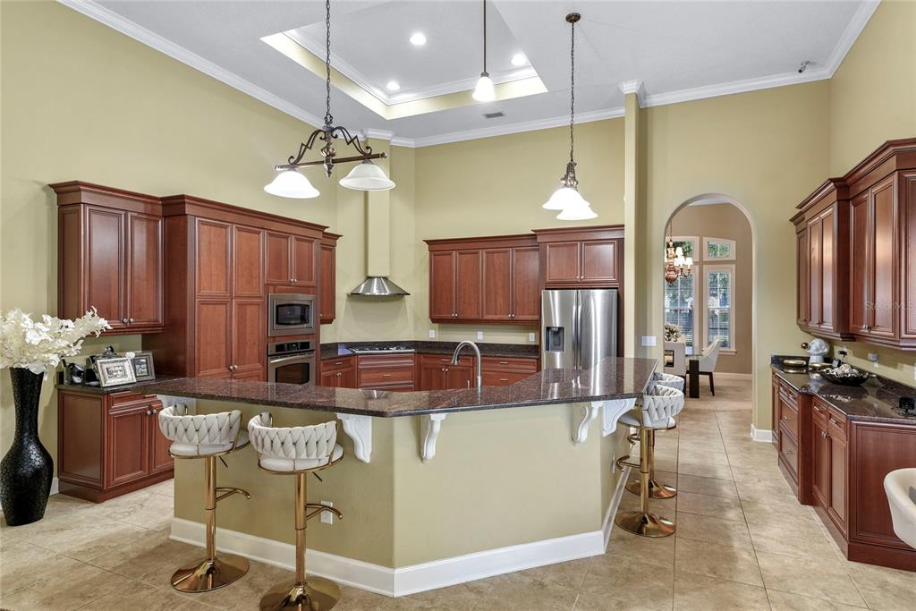 13420 BONICA WAY, WINDERMERE, FL — photo 5 of 30