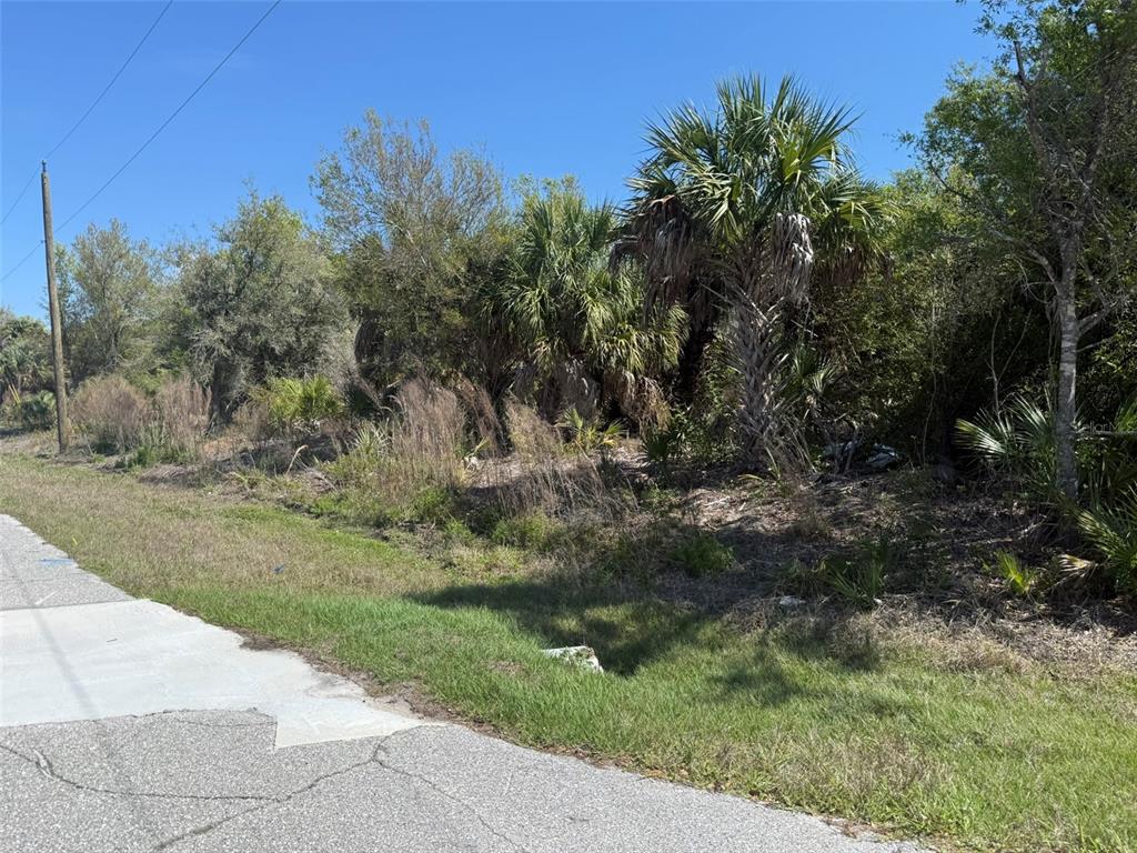 A view of a vacant, wooded lot bordered by a paved road and utility pole — 6986 CHEERFUL STREET, PORT CHARLOTTE, FL