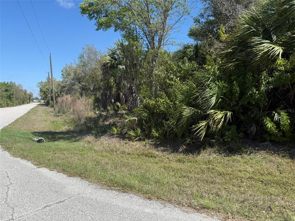 A paved road runs alongside a vacant, heavily wooded lot with dense Florida vegetation — 6986 CHEERFUL STREET, PORT CHARLOTTE, FL