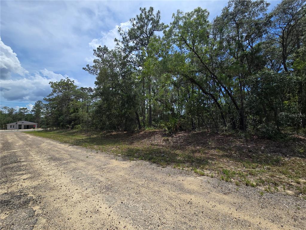 A dirt road runs alongside a wooded lot with a house visible in the distance — 6468 N BAYLOR TERRACE, DUNNELLON, FL