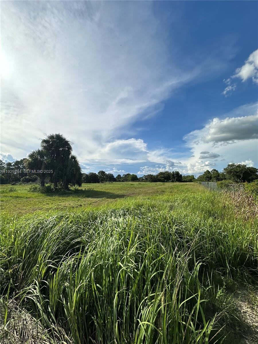 A large, grassy field with a palm tree under a cloudy blue sky — 420 S. CORAL ST., Clewiston FL 33440, CLEWISTON, FL