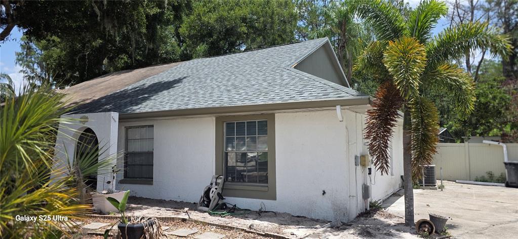 A single-story white house with a gray shingled roof and a palm tree in front — 3205 LAUREL DALE DRIVE, TAMPA, FL