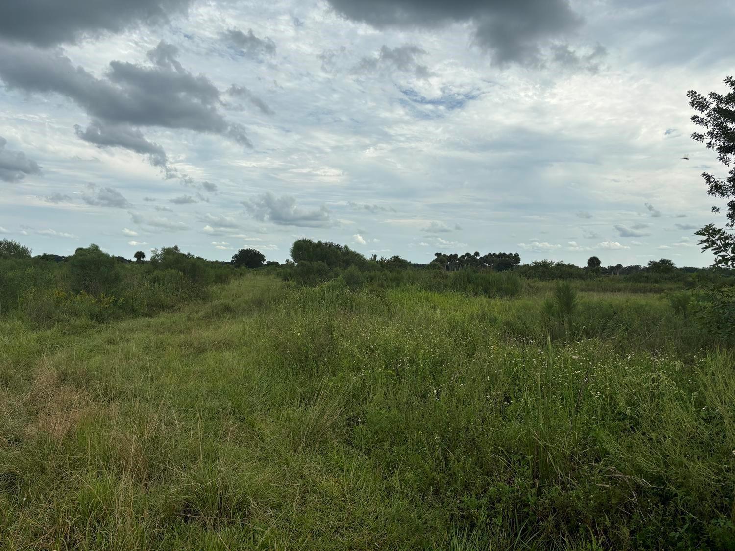 A grassy, open field under a cloudy sky with scattered trees and shrubs in the distance — 29800 NW 192nd Avenue, Okeechobee FL 34972, OKEECHOBEE, FL