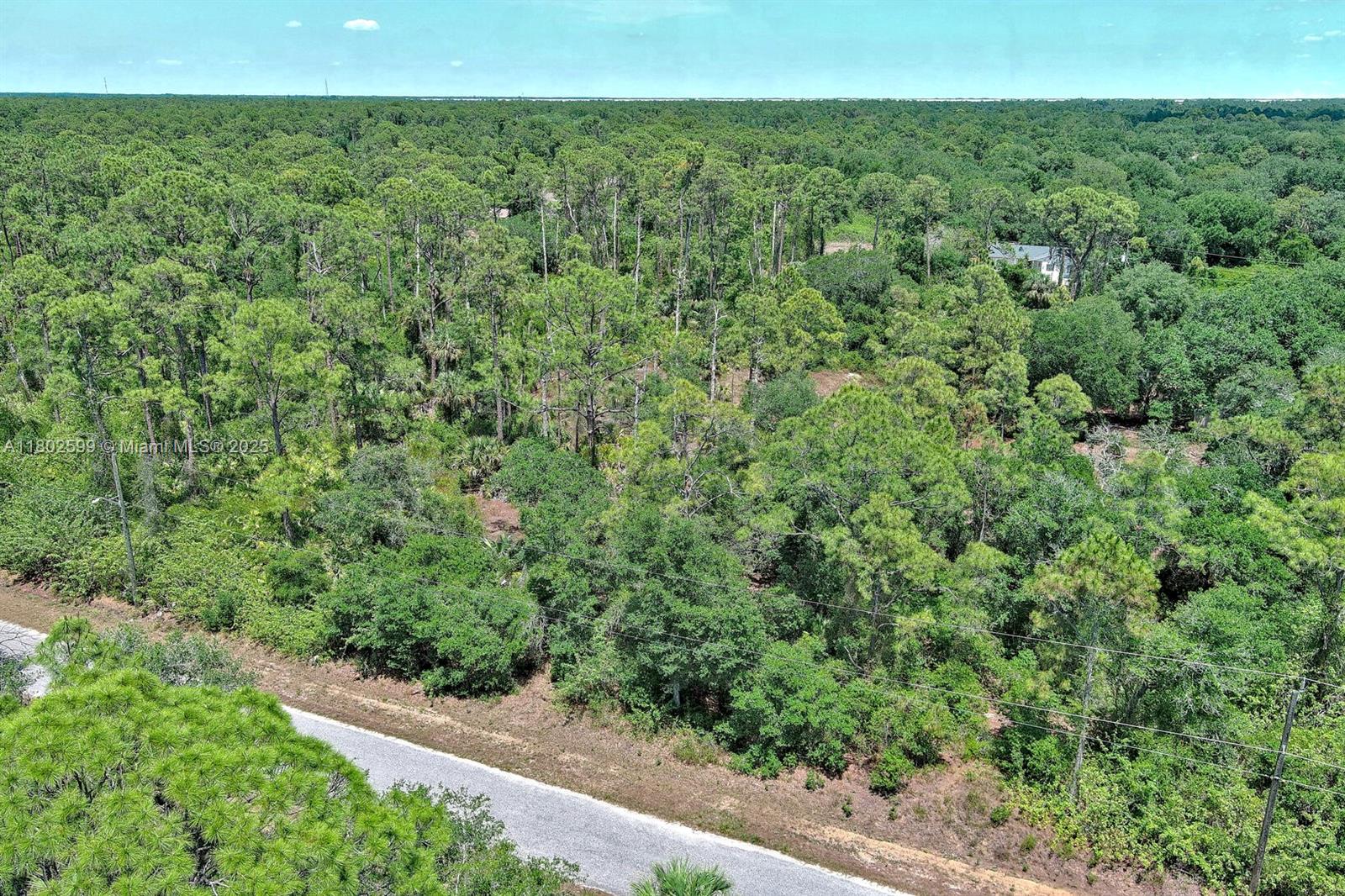 An aerial view shows a paved road bordering a dense, wooded lot with tall trees — 1908 MCARTHUR AVE, Lehigh Acres FL 33972, LEHIGH ACRES, FL