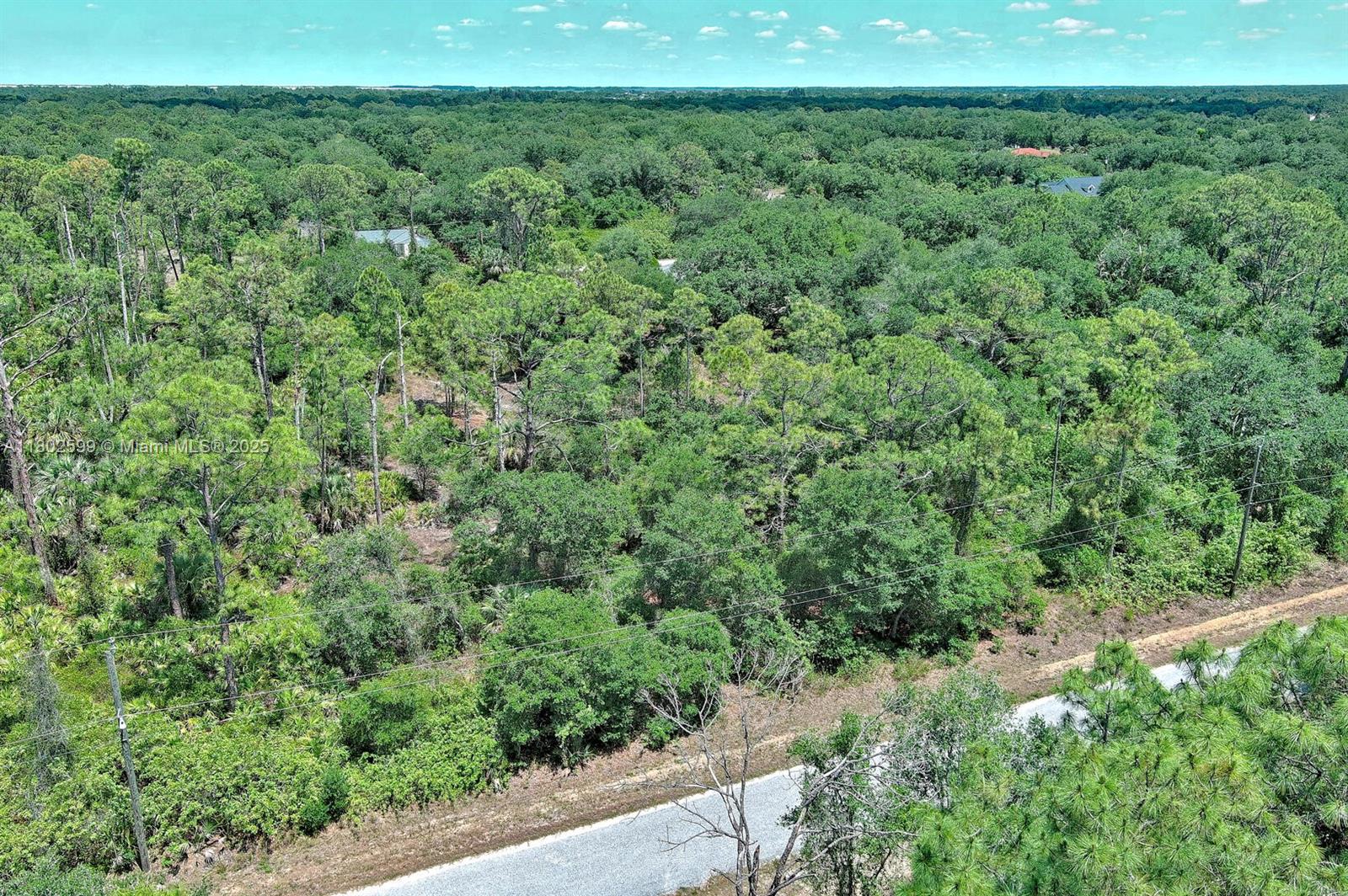 An aerial view shows a dense, wooded lot bordered by a paved road — 1908 MCARTHUR AVE, Lehigh Acres FL 33972, LEHIGH ACRES, FL